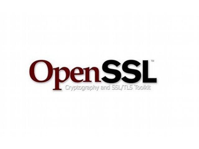 single openssl logo