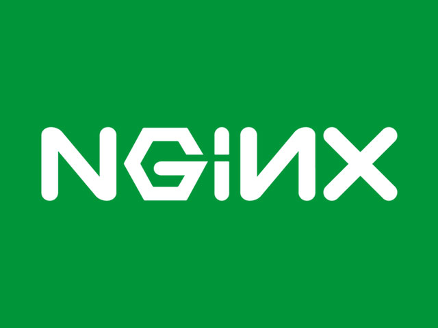 nginx logo title