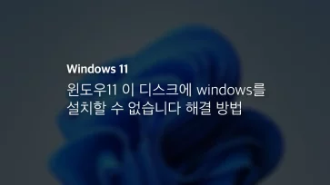 윈도우11 이 디스크에 Windows를 설치할 수 없습니다 해결 방법