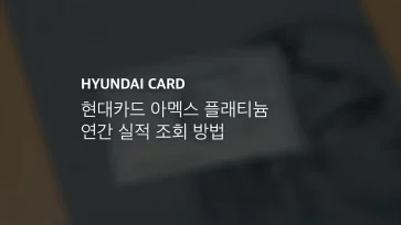 현대카드 아멕스 플래티늄 연간 실적 조회 방법