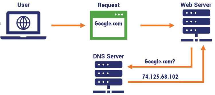 What Is Domain Name Server Dns