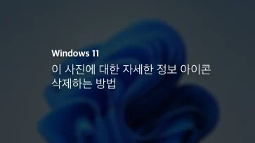 윈도우11 이 사진에 대한 자세한 정보 아이콘 삭제하는 방법