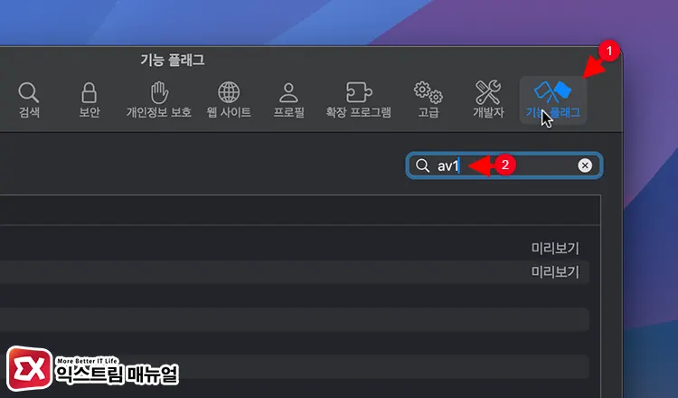 Mac 사파리 Webcodecs Av1 Codec 활성화 3