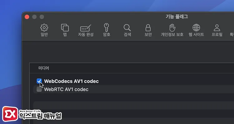 Mac 사파리 Webcodecs Av1 Codec 활성화 4