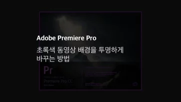 Adobe 프리미어 프로 초록색 동영상 배경을 투명하게 바꾸는 방법