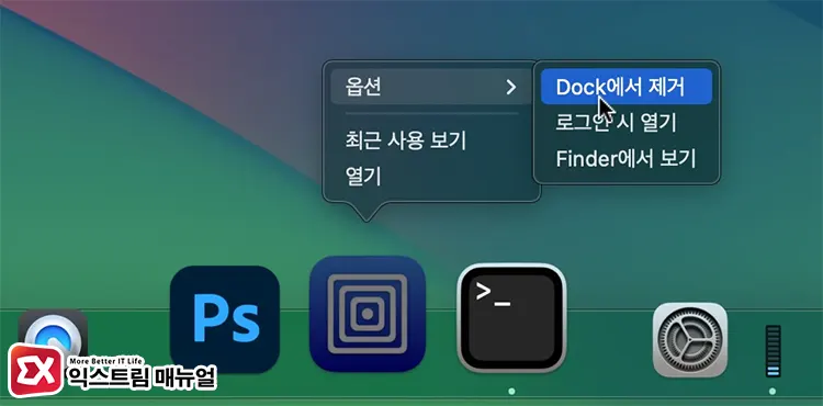 Dock 옵션에서 아이콘 제거