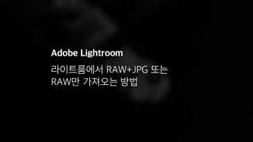 라이트룸에서 Raw+jpg 또는 Raw만 가져오는 방법