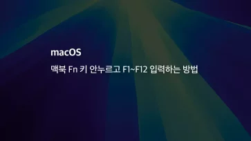 Mac 맥북 Fn 키 안누르고 F1~f12 입력하는 방법