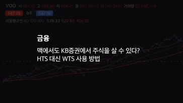 맥에서도 Kb증권에서 주식을 살 수 있다? Hts 대신 Wts 사용 방법