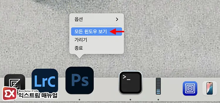 모든 윈도우 보기 기능 사용하기 - [Mac] 맥북 최소화한 창 다시 열기 3가지 방법 (독, 단축키, 앱 Expose)