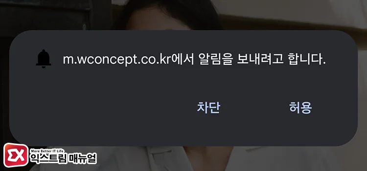 스마트폰 크롬 알림 허용 화면