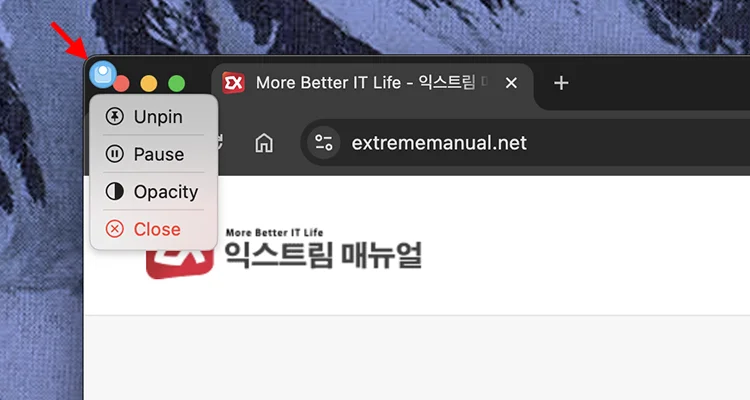 고정 버튼 추가 옵션