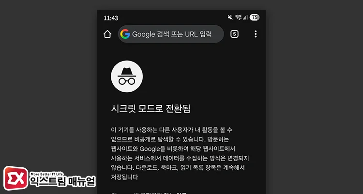 Checking Access via Browser Incognito Mode 시크릿 모드로 접속 안되는 사이트 열기