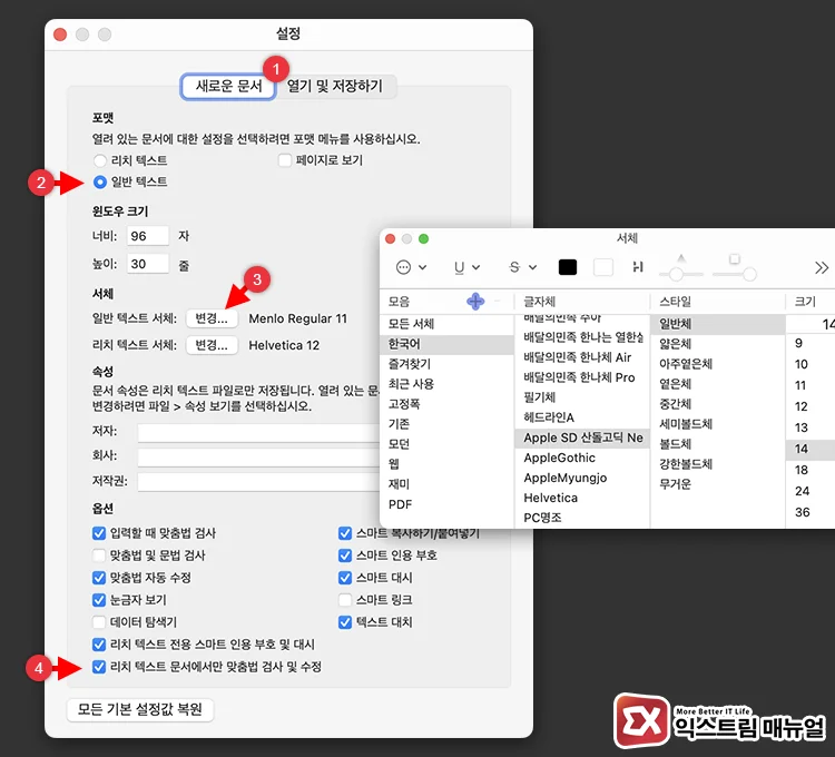 일반 텍스트 포맷 설정