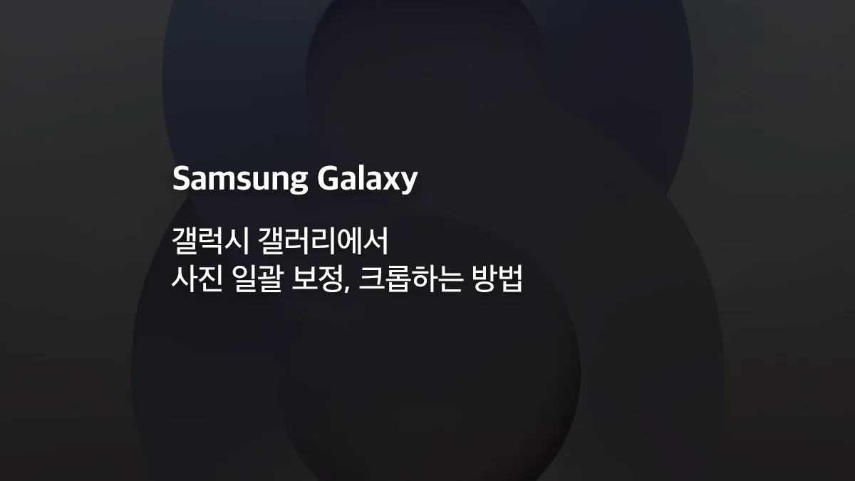 기사 대표 이미지