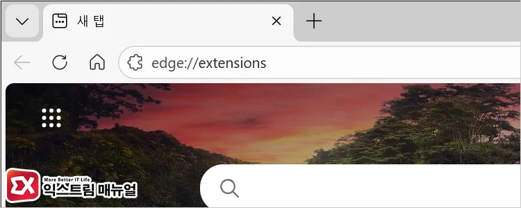 How to fix Microsoft Edge closing immediately after launch 2 엣지 확장 관리 페이지로 이동