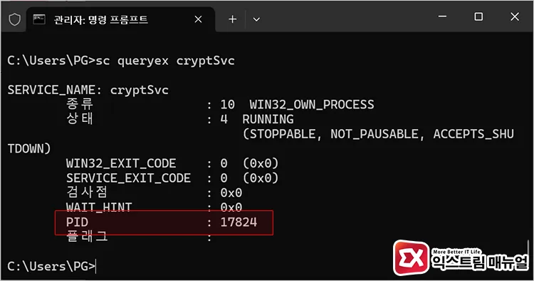 check process id pid of cryptographic services cryptsvc CMD에서 cryptSvc 프로세스 ID 확인하기