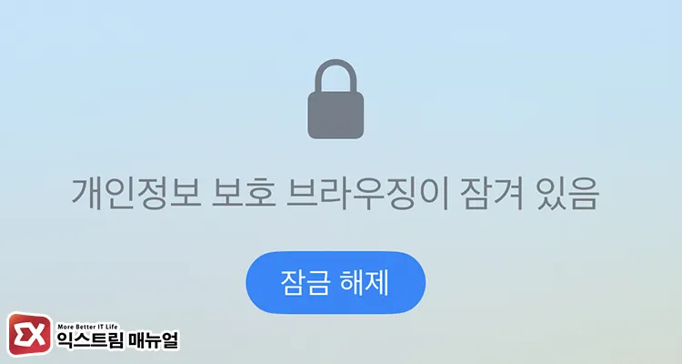 reasons privacy tab visible but not opening 개인정보 보호 브라우징 잠금 해제