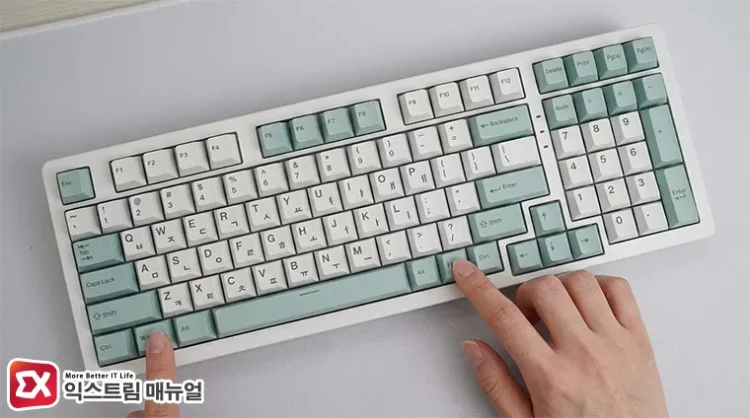 pressing fn and win keys on gaming keyboard to lock windows key 게이밍 키보드의 FN+WIN 키를 눌러 윈도우키 비활성화