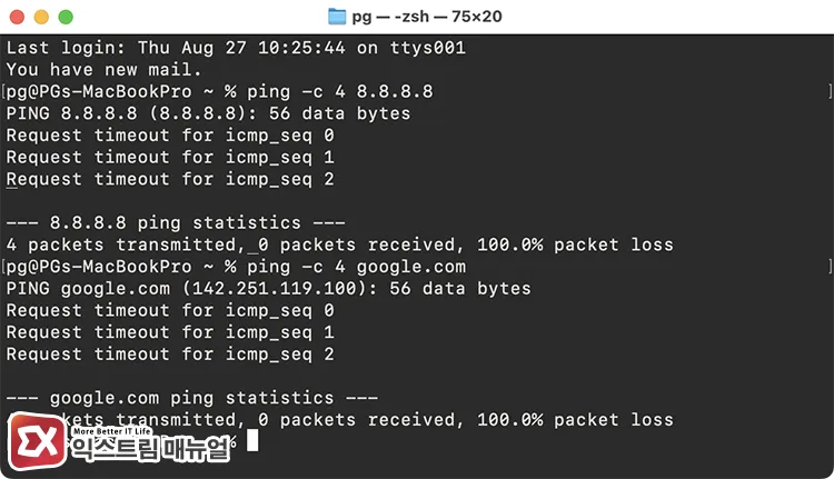checking internet connection status using ping in mac terminal 터미널에서 ping 명령어로 인터넷 연결 상태 확인하기