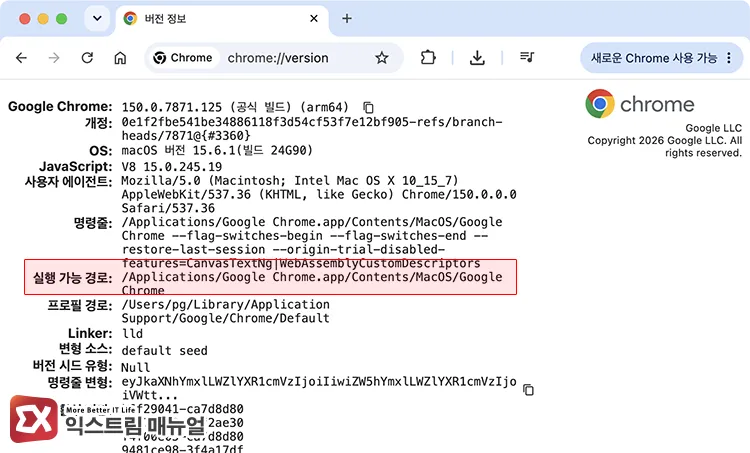 checking executable path in chrome version information 크롬 버전 정보에서 실행 가능 경로 확인하기