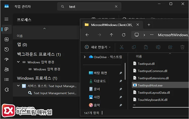 Microsoft Text Input Application 프로세스 이름과 파일 경로